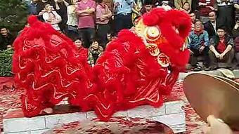 蔡李佛,传统武术的瑰宝与传承之路